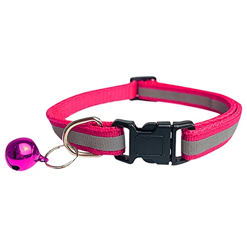 Welpenhalsband Mit Leine Set Reflektierende Sicherheitshalsbänder 19–32 cm Katze verstellbar schnell mit Glocke (One Size) von Feizikaw