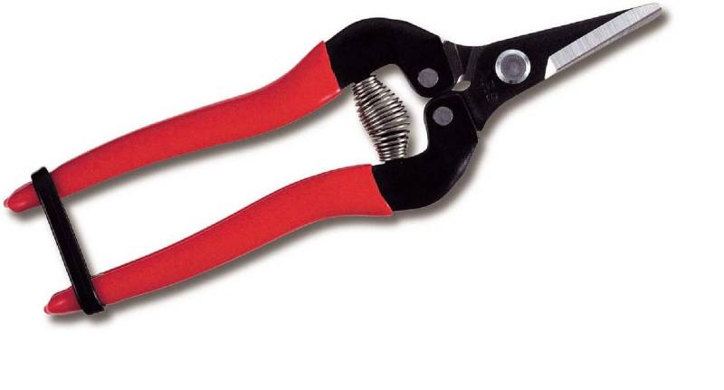 FELCO Gartenschere ARS 300 SS Leseschere Obstschere Traubenschere von FELCO