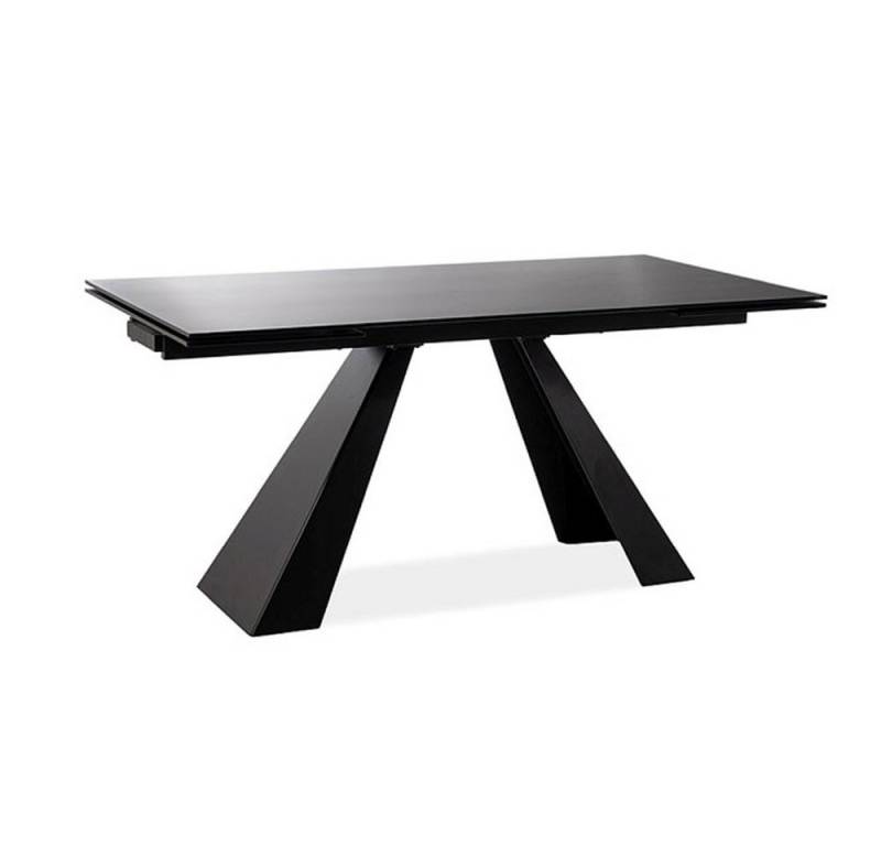 Feldmann-Wohnen Esstisch Salvadore (1 Tischplatte, Metallgestell, 1-St., moderne Optik, Glastischplatte, Gestell aus Metall), 160x90x76cm schwarz von Feldmann-Wohnen