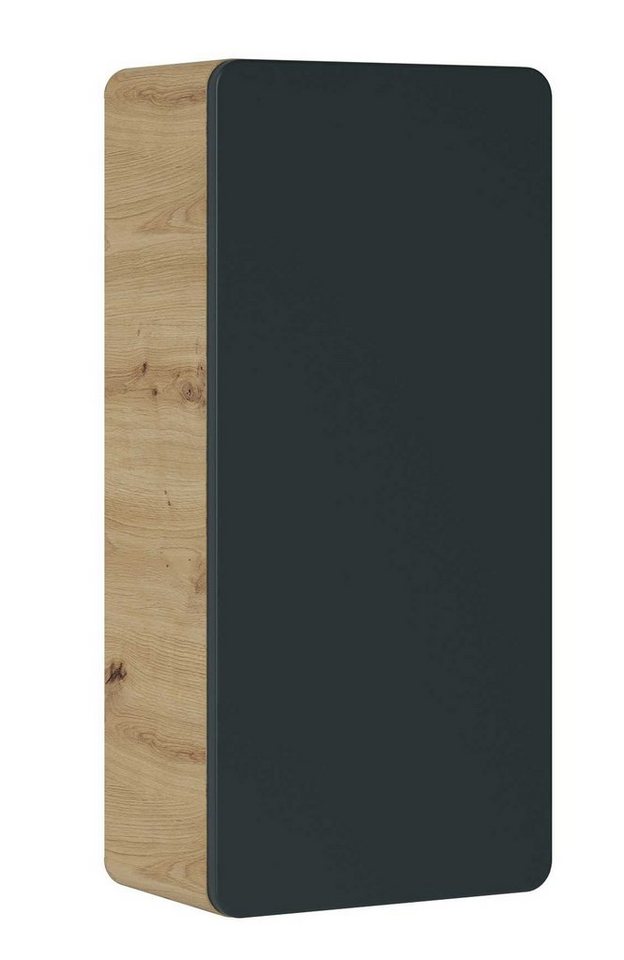 Feldmann-Wohnen Klapphängeschrank Aruba (1-St) 35x22x75cm Farbe wählbar 1-türig von Feldmann-Wohnen