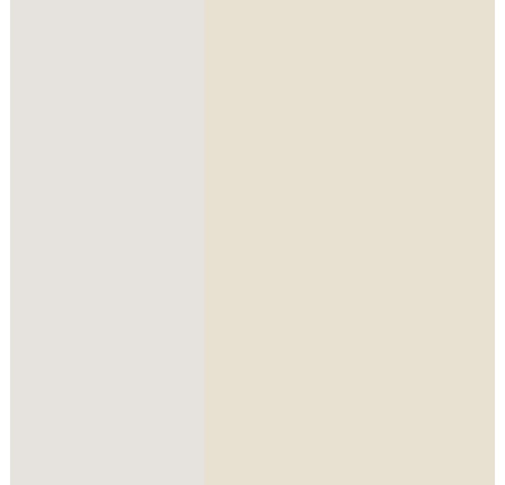 Feldmann-Wohnen Unterschrank Brerra (D11/80, 2-türig, 1 Einlegeboden, 1-St., moderne Optik, lackierte Fronten, 80x50x82cm) grau / RAL 9001 creme Hochglanz von Feldmann-Wohnen