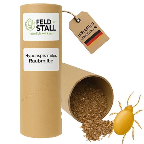FeldundStall Hypoaspis miles Raubmilbe - Natürliche Schädlingsbekämpfung der Roten Vogelmilbe im Hühnerstall, Raubmilben Nützling gegen Vogelmilben Schädling - bis zu 100m² (100m²) von FeldundStall