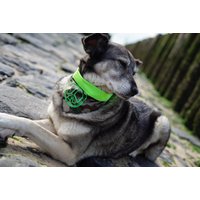 Hundehalstuch Scarfty Kamu Flash - Mit Wunschtext Personalisierbar Bandana Für Hunde Camouflage Und Neonfarben Hundehalstuch Scarfty Kamu Flash - Mit Wunschtext Personalisierbar Bandana Für Hunde Camouflage Und Neonfarben von FeliusforDogs