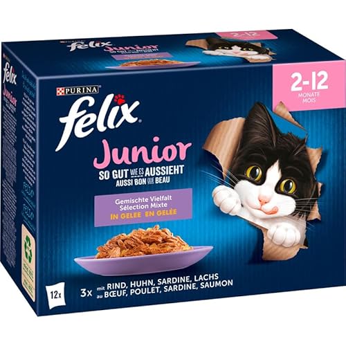 PURINA FELIX Katzennassfutter So gut wie es aussieht in Gelee Junior gemischte Vielfalt PURINA FELIX Katzennassfutter So gut wie es aussieht in Gelee Junior gemischte Vielfalt von Felix