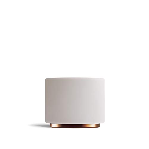 Fellow Doppelwandige Milchkunst-Keramikbecher Cappuccino (6,5 Unzen) Mattes Weiß von Fellow