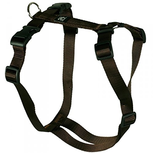 Feltmann Hundegeschirr - Nylonband, Unifarben Braun, Bauchumfang 55-75 cm, 20 mm Bandbreite von Feltmann