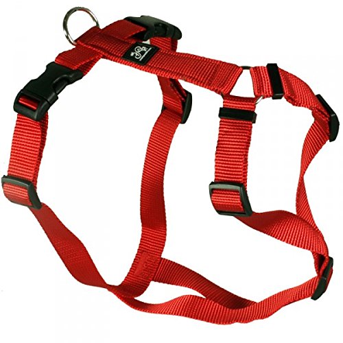 Feltmann Hundegeschirr - Nylonband, Unifarben Rot, Bauchumfang 70-90 cm, 25 mm Bandbreite von Feltmann