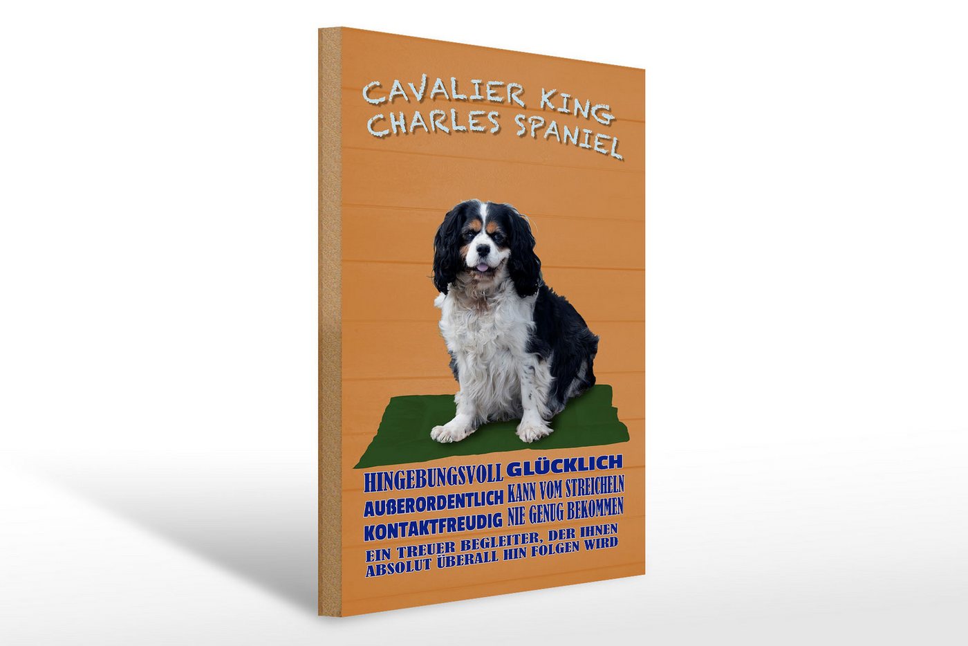 Femer GmbH Holzbild Spruch 30x40cm Cavalier King Charles Spaniel oranges Schild, Sprüche Zitate Lustiges (1 St), Glatte Holzfaserplatte (MDF), vorn beschichtet von Femer GmbH