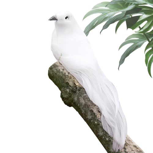Fenayuu Kunstvögel | Weihnachtsdeko Für Garten - Desktop Deko Als Friedenssymbole Wohnaccessoires Für Zuhause Arbeitszimmer Und Wohnzimmer Fenayuu Kunstvögel | Weihnachtsdeko Für Garten - Desktop Deko Als Friedenssymbole Wohnaccessoires Für Zuhause Arbeitszimmer Und Wohnzimmer von Fenayuu