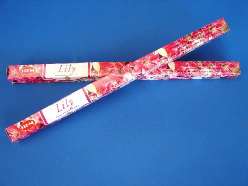 4 Boxes of HEM Incense Sticks - Lily von Feng Shui Import