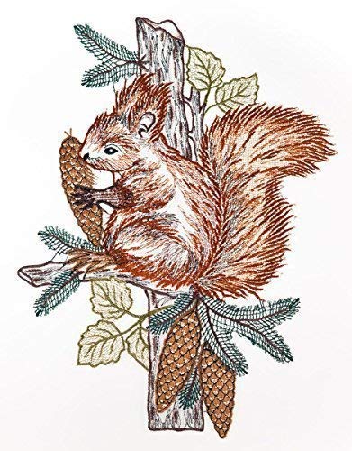 Fensterbild Eichhörnchen farbig 23 x 29 cm aus Plauener Spitze Fensterdeko Fensterschmuck Bilder Handarbeit Deko Fenster Fensterbild Eichhörnchen farbig 23 x 29 cm aus Plauener Spitze Fensterdeko Fensterschmuck Bilder Handarbeit Deko Fenster von Fensterdekoration