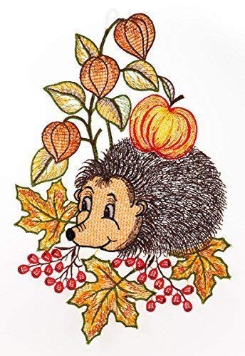Fensterbild Igel farbig 21 x 32 cm aus Plauener Spitze Fensterdeko Fensterschmuck Bilder Handarbeit Deko Fenster von Fensterdekoration