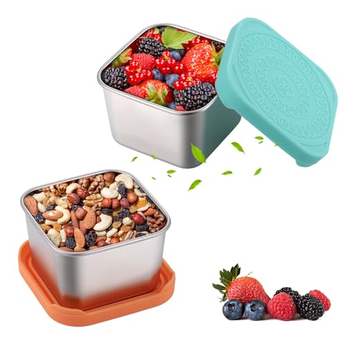 Fentar 2stk Gefrierdosen Klein, 200ml Snackbox Edelstahl Dosen mit Deckel, Süße Snackdose, BPA-frei Beikost Einfrieren Behälter, Lecksicher Mini Dosen zum Einfrieren für Babybrei Dipsauce Snacks von Fentar