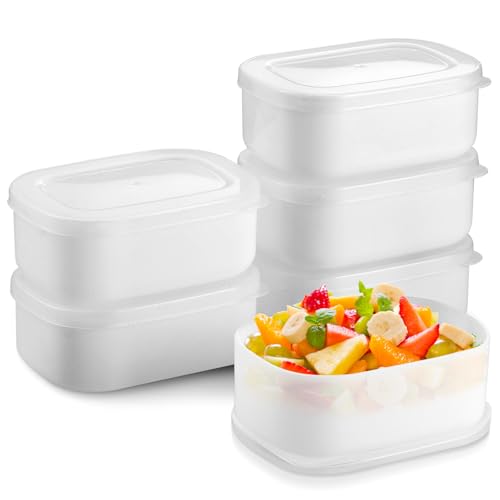 Fentar 6-Pack Kleine Dosen mit Deckel Plastik, 280ML Wiederverwendbare Frischhaltedosen mit Deckel Klein, Platzsparende Gefrierdosen Klein für Mahlzeitenvorbereitung Babynahrung Snack von Fentar