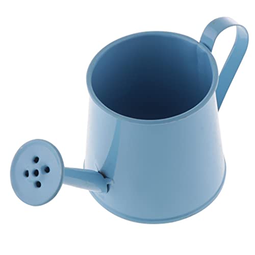 Fenteer Eisen Gießkanne Wasserkanne Blumengießer Blumenkanne Dekokanne für Pflanzen, Blau von Fenteer