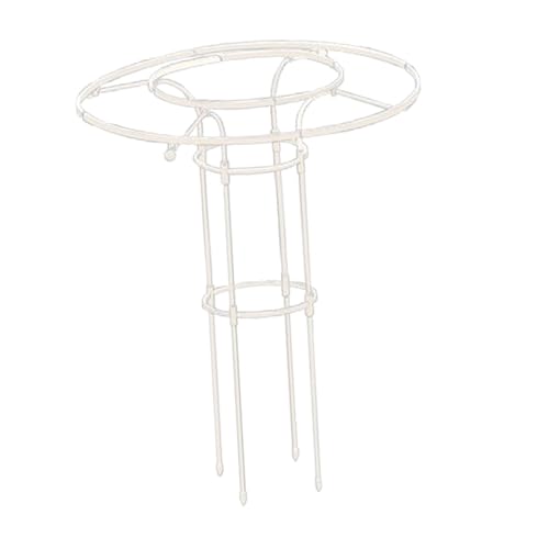Fenteer Gartenobelisk-Spalier, Pflanzenstütze, Rosenschirm, Gartenspalier, Pflanzenturm, Blumenständer für die Rasenbepflanzung von Topfpflanzen, 90cm Fenteer Gartenobelisk-Spalier, Pflanzenstütze, Rosenschirm, Gartenspalier, Pflanzenturm, Blumenständer für die Rasenbepflanzung von Topfpflanzen, 90cm von Fenteer
