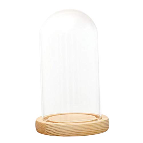 Fenteer Hochwertige Glashaube Cloche Deko Glaskuppel Glassturz Glasglocke mit Holzbasis, F 12x20cm von Fenteer