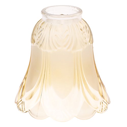 Fenteer Lampenglas Ersatzglas Lampenschirm E27 für Hängelampe Pendellampe Deckenlampe, Typ 6 von Fenteer