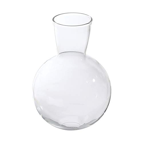 Fenteer Glas Vase Dekorative Rustikale Runde Vase Glaskolben Tisch Vase für Home Decor Mittelstücke von Fenteer