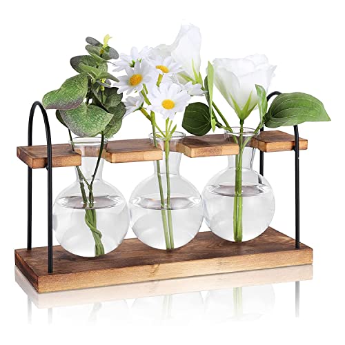 Ferleiss Pflanzenzuchtstation mit Holzständer, Pflanzenterrarium Desktop Anzuchtstationen, Pflanzenzwiebel, Glasvase von Ferleiss