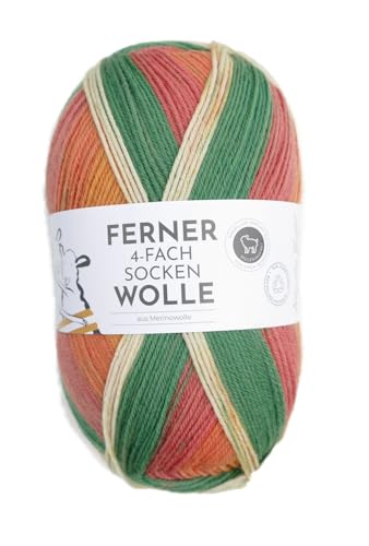 Ferner Wolle 4-fach Sockenwolle mit Merinowolle mulesingfrei, Strumpfwolle 4-fädig, Sockengarn mit Farbverlauf, 100g (714/24) von Ferner Wolle