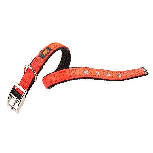 Ferplast Halsband Nylon zweifarbig Metall Schnalle verchromt Hunde DUAL CF Colou von Ferplast