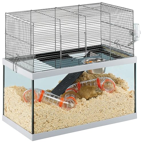 Ferplast Nagetierkäfig GABRY 60 für Rennmäuse, Hamster, aus Metall und Glas, inklusive Zubehör: Schüssel, Trinkflasche, Regal, Leiter, Rohrset. 60x31,5xh52cm Ferplast Nagetierkäfig GABRY 60 für Rennmäuse, Hamster, aus Metall und Glas, inklusive Zubehör: Schüssel, Trinkflasche, Regal, Leiter, Rohrset. 60x31,5xh52cm von Ferplast