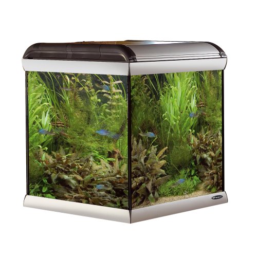 Ferplast 65205021 Star Cube Aquarium, 67 x 62 x h 67.5 cm, 230 L von Ferplast