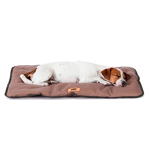 Ferplast Hundematte & Katzenmatte Klein - Waschbares Hundebett - Hundekissen - Wasserdicht & Kratzfest - Matte für Hundehütten und Auto, Hundekorb - Jolly - 65 x 48 cm, SM, BRAUN von Ferplast