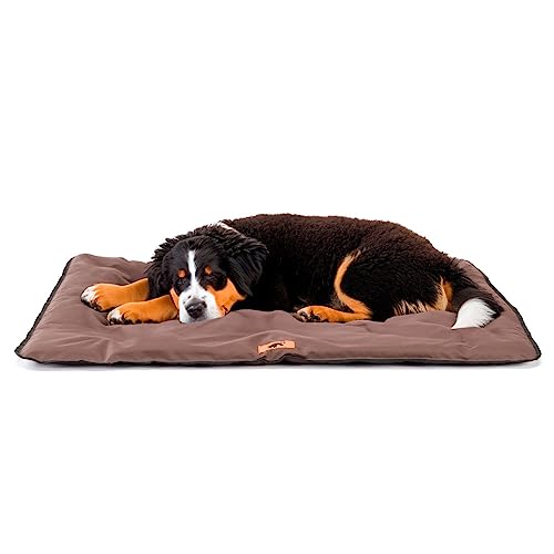 Ferplast Hundematte Extra Groß - Waschbares Hundebett - Hundekissen - Wasserdicht & Kratzfest - Matte für Hundehütten und Auto, Hundekorb - Jolly - 108 x 79 cm, XL, BRAUN von Ferplast