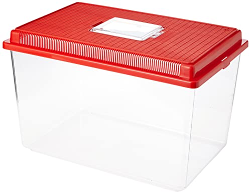 Ferplast Aquarium aus Kunststoff für Fische GEO Extra Large Tank 11 L Behälter für Aquarium Terrarium Insekten Schildkröten, Robuster Kunststoff, Lüftungsgitter, 35,6 x 23,4 x 22,8 cm, rot von Ferplast