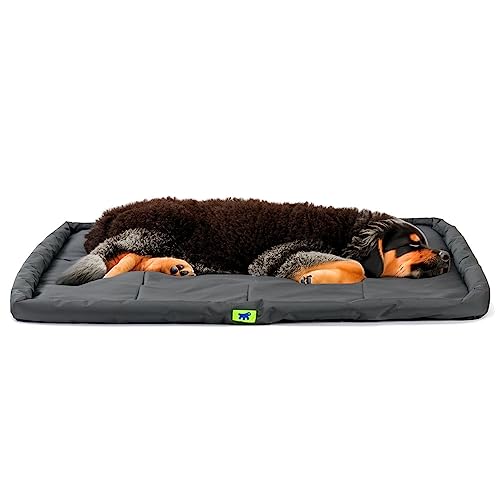 Ferplast Hundekissen Hundesofa Hundebette für Große Hunde Hundekorb Bezug Orthopädisches Hundebett Hundematratze Waschbar Hundematte Wasserdicht 122 x 76 x 5 cm. Schwarz Ferplast Hundekissen Hundesofa Hundebette für Große Hunde Hundekorb Bezug Orthopädisches Hundebett Hundematratze Waschbar Hundematte Wasserdicht 122 x 76 x 5 cm. Schwarz von Ferplast
