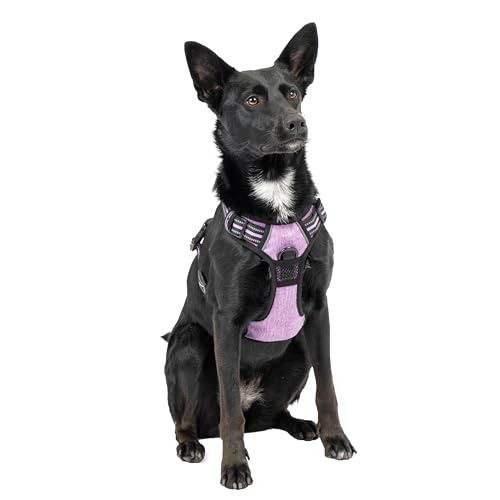 Ferplast Hundegeschirr Mittelgroße Hunde, 2 Haken für maximale Kontrolle, Anti-Zug-Hundegeschirr, Verstellbar, Reflektierend und Atmungsaktiv, Hundegeschirr ideal für das Training M, lila Ferplast Hundegeschirr Mittelgroße Hunde, 2 Haken für maximale Kontrolle, Anti-Zug-Hundegeschirr, Verstellbar, Reflektierend und Atmungsaktiv, Hundegeschirr ideal für das Training M, lila von Ferplast