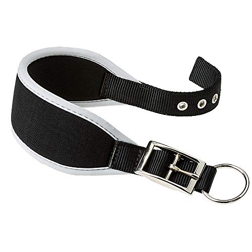 Ferplast Hundehalsband ERGOCOMFORT, Windhundhalsband, weiche Polsterung, Silver von Ferplast