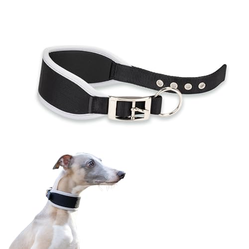 Ferplast Hundehalsband ERGOCOMFORT, Windhundhalsband, weiche Polsterung, Silber von Ferplast
