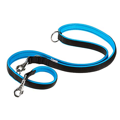 Ferplast Hundeleine ERGOFLUO, Trainingsleine für Hunde, Hundeleine für kleine Hunde, Ergonomisch Gepolsterter Griff, Metallkarabinerhaken, aus Nylon, 200 cm, Blau von Ferplast