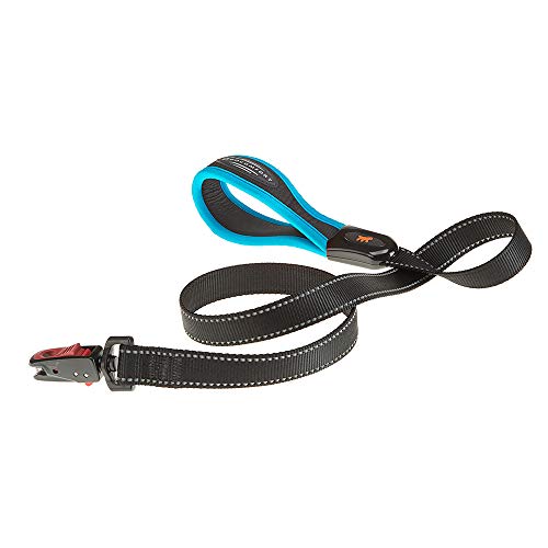 Ferplast Hundeleine ERGOFLUO Matic, Hundeleine Grosse Hunde, Innovativer Karabiner mit Magnetmechanism, Ergonomisch Gepolsterter Griff, aus Nylon, 120 cm, Blau von Ferplast