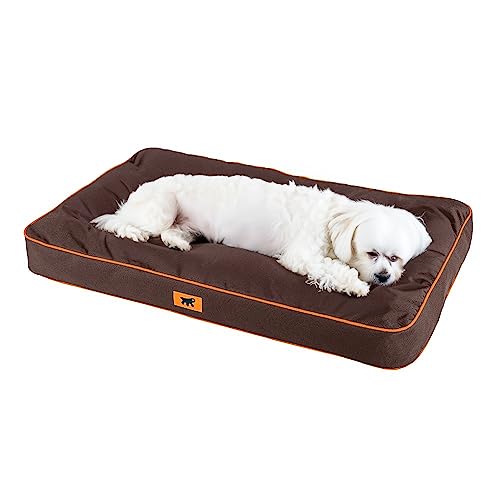 Ferplast Hundematte & Katzenmatte Klein - Orthopädisches Hundebett - Hundebett Waschbar & Kratzfest - Hundekissen - Hundebett Flauschig - Herausnehmbare Polsterung - Polo - 65 x 40 x h 8 cm, S, BRAUN Ferplast Hundematte & Katzenmatte Klein - Orthopädisches Hundebett - Hundebett Waschbar & Kratzfest - Hundekissen - Hundebett Flauschig - Herausnehmbare Polsterung - Polo - 65 x 40 x h 8 cm, S, BRAUN von Ferplast
