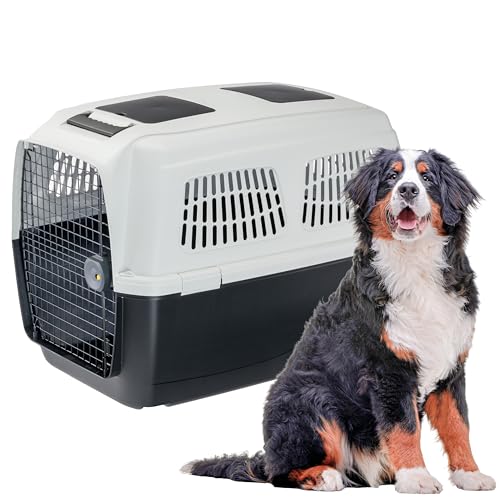 Ferplast Hundetransportbox CLIPPER PLUS, IATA-geeignet, für große Hunde bis 60 kg, sicherer Verschluss, mit Doppelfach für Zubehör, abnehmbarer Griff, 105 x 75 x h 79 cm Ferplast Hundetransportbox CLIPPER PLUS, IATA-geeignet, für große Hunde bis 60 kg, sicherer Verschluss, mit Doppelfach für Zubehör, abnehmbarer Griff, 105 x 75 x h 79 cm von Ferplast