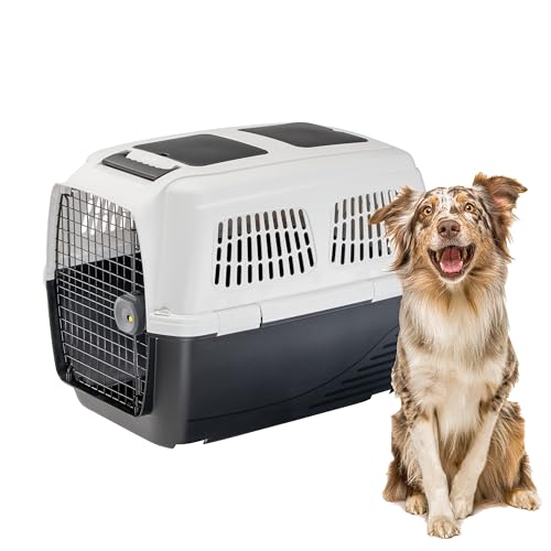 Ferplast Hundetransportbox CLIPPER PLUS, IATA-geeignet, mittlere Hundetransportbox max. 30 kg, Sicherer Verschluss, mit Doppelfach für Zubehör, abnehmbarer Griff, 87 x 57 x h 60 cm Ferplast Hundetransportbox CLIPPER PLUS, IATA-geeignet, mittlere Hundetransportbox max. 30 kg, Sicherer Verschluss, mit Doppelfach für Zubehör, abnehmbarer Griff, 87 x 57 x h 60 cm von Ferplast