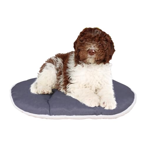 FERPLAST Hundebett & Katzenbett - Hundebett Mittel - Hundebett Waschbar - Hundekissen - Matte für Hundehütten, Zwinger und Auto - Hundebett Flauschig - Relax - 78 x 50 CM, ML, BEIGE von Ferplast