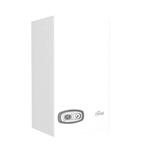 Ferroli 1 Dafi MG Wasserfilter, 1 Stück, 18/8 Edelstahl von Ferroli