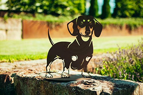 Ferrum Metallfigur Edelrost Figur Dackel Hund Wasti Skulptur Gartenfigur Tierfigur Rost von Ferrum