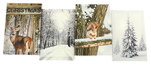Festive Productions batteriebetrieben beleuchtetes Bild mit 4 Winter Szenen, Mehrfarbig, 24 von Festive Productions