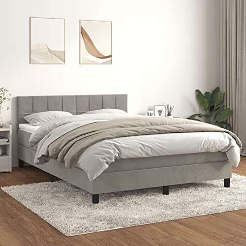 Festnight Boxspringbett mit Matratze - Boxspringbett 140 x 200 cm - Polsterbett 140 x 200 cm mit Matratze -NO21- Bett mit Matratze & Kopfteil - Samt-Oberfläche-Hellgrau-3 von Festnight