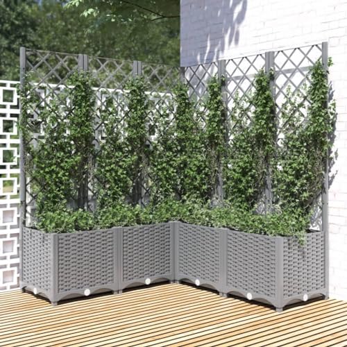 Festnight Pflanzkasten mit Rankgitter 120x120x136 cm Blumenkasten Rankhilfe Garten Hochbeet mit Rankgitter Spalier mit Pflanzkasten Pflanzkübel mit Spalier Rankkasten Terrasse Blumenkübel von Festnight