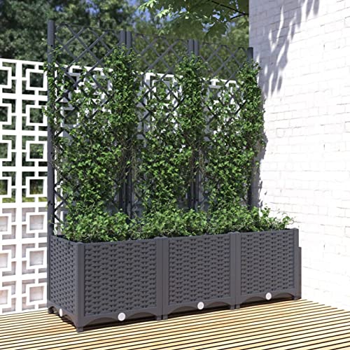 Festnight Pflanzkübel mit Rankgitter 120x40x136 cm Dunkelgrau Blumenkasten PP Rankkasten Pflanzkasten mit Rankhilfe Spalier Pflanzgitter Blumenkübel Pflanzkübel Garten Terrasse Balkon von Festnight