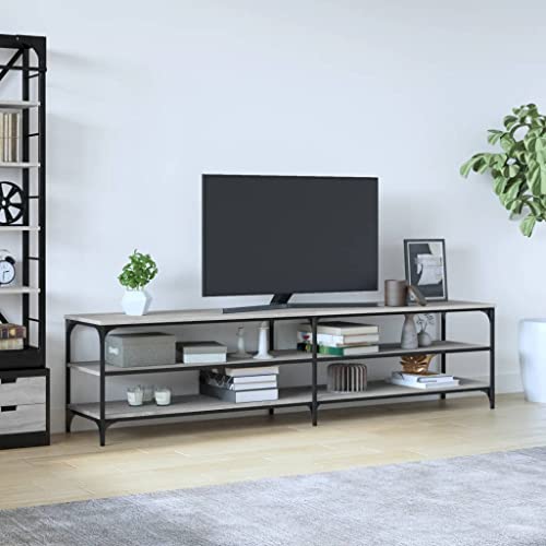 Festnight TV-Schrank, TV Board, Lowboard Fernsehschrank TV mit Fächern, TV Board, TV Kommode für TV-Geräte, TV Bank für Wohnzimmer, Metall, Grau Sonoma200x30x50 cm von Festnight