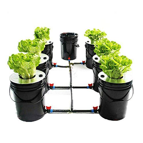 Fetcoi Tiefwasserkultur Komplet Hydroponic Anbau Hydroponische Anzucht Soilless Pflanzsystem System Erdlose 1 Kit 6 Eimer (20L) von Fetcoi