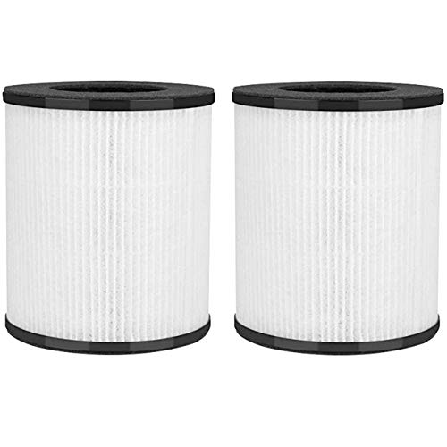 Fette Filter - VK-6067B H13 True HEPA-Filter kompatibel mit HOKEKI VK-6067B & Vremi True Hepa Luftreiniger H13 mit Aktivkohle, 2 Stück (VK6067B) von Fette Filter